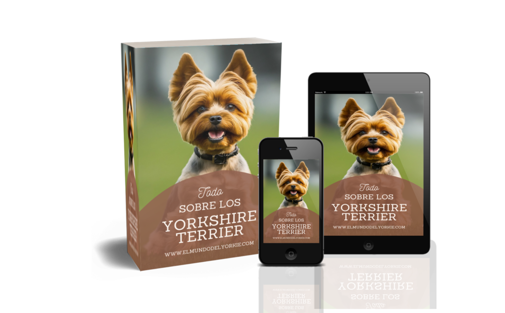 LIBRO DIGIATL DEL YORKIE
